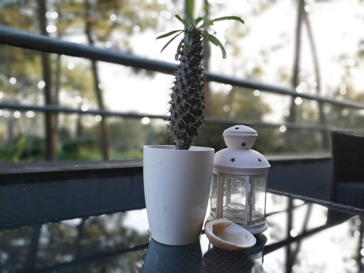 Barca House - Nature - Golf - Pool & Beach 埃斯波森迪 外观 照片
