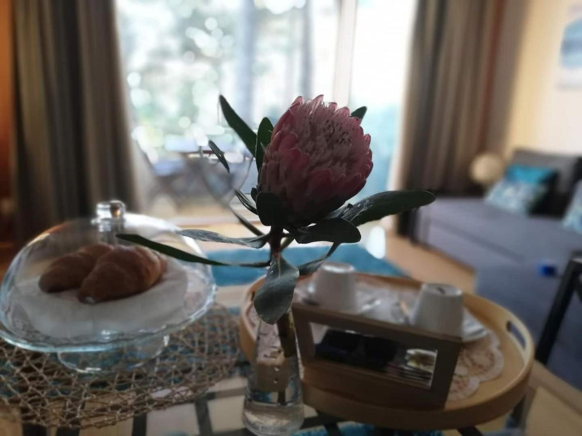 Barca House - Nature - Golf - Pool & Beach 埃斯波森迪 外观 照片